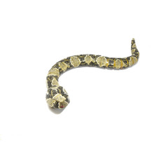 Odyssey Toys Anaconda Mouse Bundle Pack