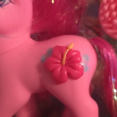 G3 My Little Pony BEACHCOMBER 2005 MIB Dream Design Pony