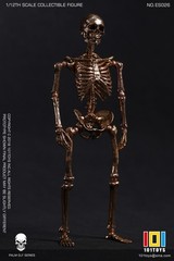 101TOYS ES026 1/12 PALM ELF SERIES SKELETON FRAM Rose Gold Edition Figure Toys