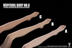 US🇺🇲 – Verycool 1/6 VCD-06A No.6 Silicone Body Large Bust Action Figure NEW
