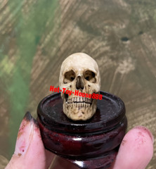1/6 Scale Skull Model Kits Accessory for Action Figure Custom Scene Set-Up