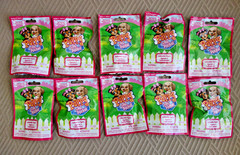Lot of 10 “Puppy in my Pocket” Blind Bag Figures Series 3