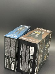 Medicom Toy MAFEX No.123 Catwoman HUSH Ver. and No.126 Batman HUSH Black Figure