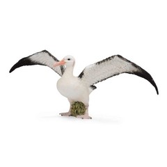 CollectA Realistic Animal Replica Wandering Albatross Figure Large Ages 3+