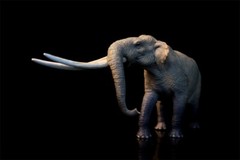 TNG Huanghe Flumen Stegodon Model Elephant Animal Figure Toys Decor Xmas Gift