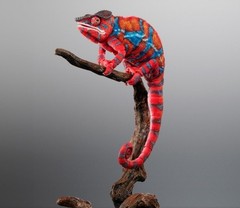 Living Creatures Encyclopedia Premium Panther Chameleon Ambilobe red Japan