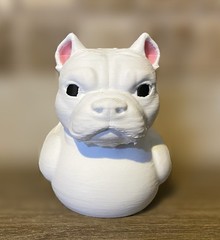 Pitbull Duck -White
