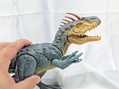 Jurassic World Epic Evolution Neovenator 14 in Dinosaur No Box Free Shipping