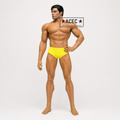 Custom Uncensored PHICEN 1/6 Heroic Warrior Muscular Male Seamless Figure Set