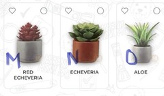 Mini Brand Create Garden Series 1