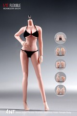 US 1/12 Female Seamless Action Figure Big Bust Pale Skin Body For 6″Soldier Head