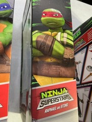 Playmates TMNT x WWE Ninja Superstars Series 1 Complete Set SEALED