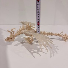 How To Train Your Dragon Boneknapper 2014 Spin Master RARE Glow In Dark