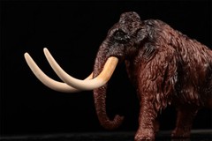Earth Story Mammonteus Primigenius Model Elephant Animal Figure Xmas Gift