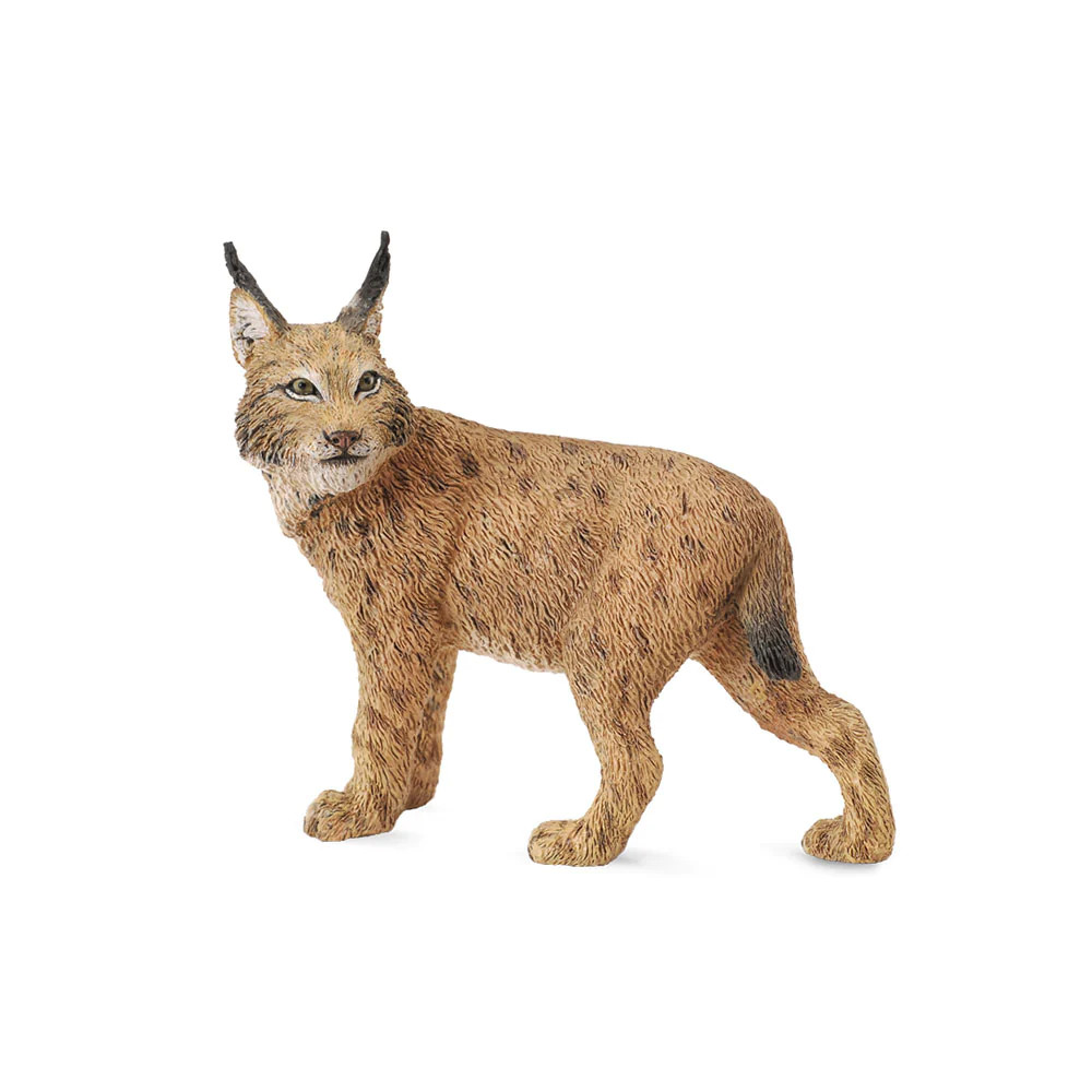 CollectA Realistic Animal Replica Lynx Dinosaur Figure Large Ages 3+ and Up