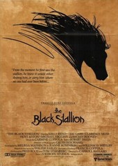 Black Stallion Bucephalus – Exclusive, Collectible, Classic – Bronze