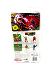 MOTU Mattel Masters Of The Universe Cartoon Collection He-Man SEALED (M4)