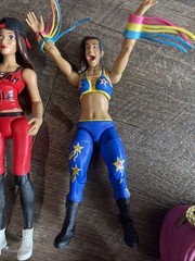 Wwe Women’s Wrestling Figure Lot. Sasha, Becky Lynch, Charlotte Flair, Bailey