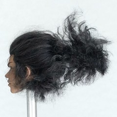 CUSTOM ROOTED HAIR & PAINTED 1/6 scale 宫本武藏 miyamoto musashi samurai figure head
