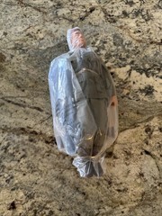 VINTAGE 1994 GI JOE 12″ 1ST LT JOSEPH COLTON 30 YR ANNIVERSARY FIGURE – MAIL IN