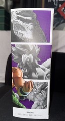SH Figuarts Full Power Broly Dragon Ball Super Action Figure