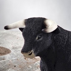 Schleich Black Bull Stepping Toy Figure Horned Farm Cattle Spanish Diorama 13875