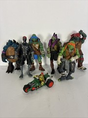 Teenage Mutant Ninja Turtles 2012. Take The Whole Gang