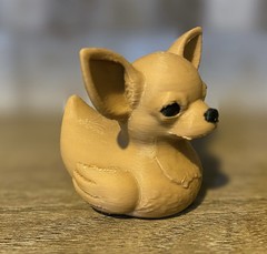 Chihuahua Duck
