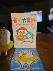 PopMart Duckyo Never Grows Up – Snuggle Struggle Unused Authentic PopMart