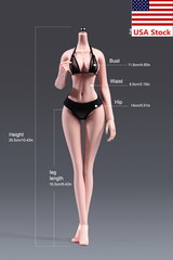 YM502 1/6 Female Pale Mid Bust Thin Waist Flexible Body Details 12″Action Figure