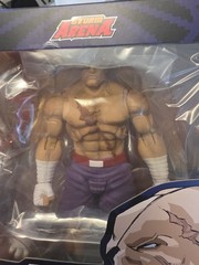 Storm Arena – Street Fighter Alpha 3 – Sagat – Special Edition – BBTS Exclusive