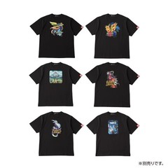 Pokemon Center Pokemon Game Package Collection 30th Anniv. Goods New Japan