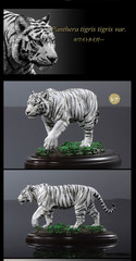 Wild Feline Figure Bandai Creature Encyclopedia Display Model Collection Ikimono