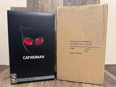 Sideshow Collectibles Exclusive DC Comics Catwoman 12″ 1/6 Scale Figure