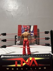 WWE Elite Mattel DC FLASH REY MYSTERIO Ringside Wrestlemania XX 20 – NO SHIRT