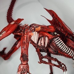 2015 NECA Aliens Genocide Ultra Deluxe Series 15″ Red Queen Mother Figure