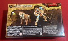 Transformers Generations Tigatron Golden Disc Collection War For Cybertron NIB