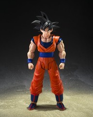 TAMASHII NATIONS S.H.Figuarts Dragon Ball Z Son Goku Appro