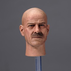 1/6 Bryan Cranston Heisenberg Teacher Male Head Sculpt Model 12in Action Figures