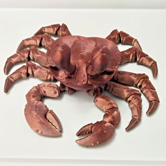 Ghost Crab Toy Articulated 3D Printed Handmade Novelty Varying Colors