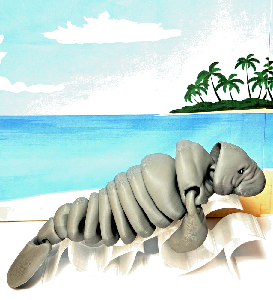 3D Printed Manatee, 9″ Full Articulated Manatee with Stand, Stress Relief Toy