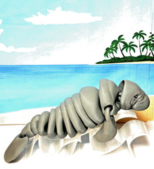 3D Printed Manatee, 9″ Full Articulated Manatee with Stand, Stress Relief Toy
