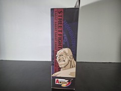 Storm Arena Street Fighter Alpha 3 Sagat Action Figure Complete