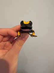 Poison Dart Frog Figure yellow frog Bandai Creature Encyclopedia Repti