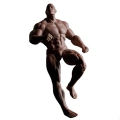 US MUFF TOYS ADAM 1/12 AD01 Male Figure Body Strong MuscleJoint Body 17cm Figure