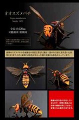 The Diversity of Life on Earth Advance Wasp Hornet 02 Figure Bandai Capsule Toy