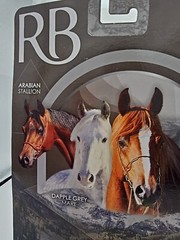 ROYAL BREEDS Horse Figurine And Comb Arabian Stallion