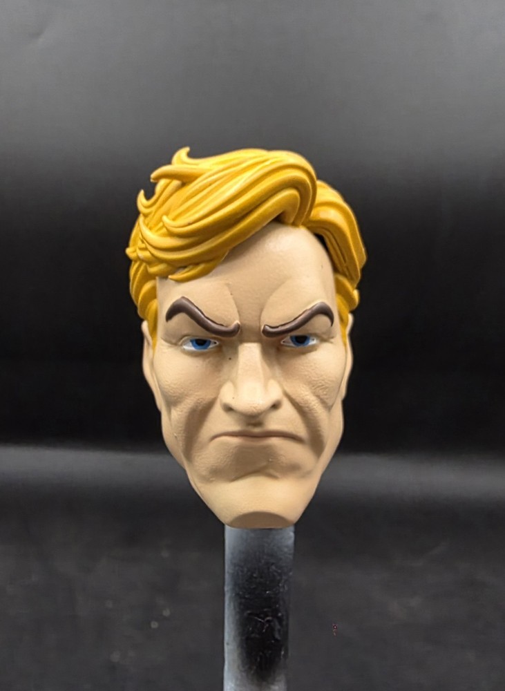 Hot Toys Custom Comic Homelander Head 1/6 Scale Painted