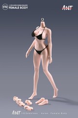 ANT N306 1:12 Female Seamless Body Pale Large Bust Plump Hip 6″ Action Figure