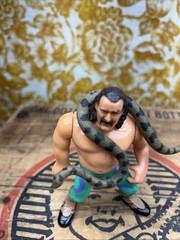 WWF Jake the Snake Roberts with Damien Hasbro Series 1 Figure WWE 1990